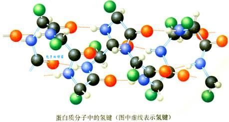 氢键力与分子间作用力的区别和联系详解