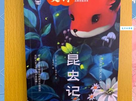 关于法布尔的详细资料 探索他的研究与著作