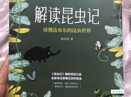 关于法布尔的详细资料 探索他的研究与著作