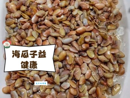 瓜子别名叫什么 盘点瓜子那些你不知道的别名