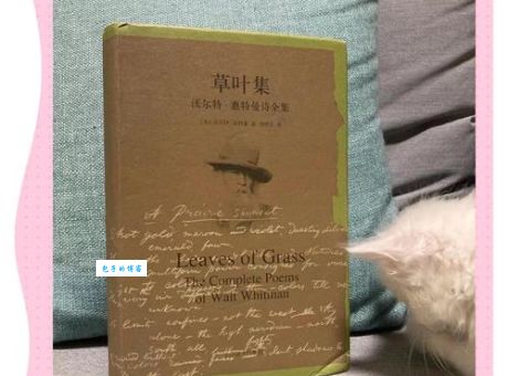 《草叶集》（美国文学史划时代巨著）