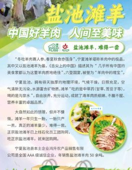 牛羊驯化与畜牧业：稳定的肉食来源