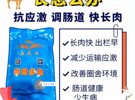 牛羊驯化与畜牧业:稳定的肉食来源