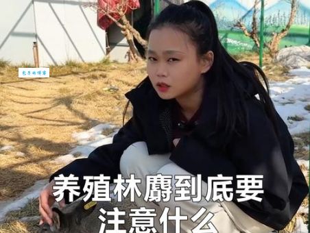 林麝养殖技术分享 如何科学饲养这种珍贵动物