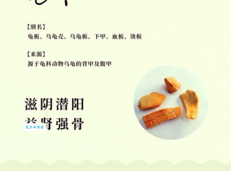 甲壳烧是什么东西 专家解析它的环保价值与应用
