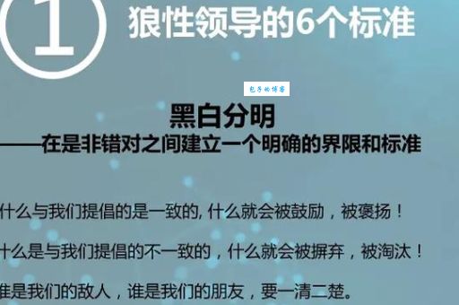 狼群战术是什么 揭秘团队高效协作的核心方法
