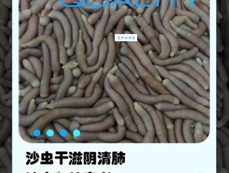 沙蚤是什么 这种小虫子为何让人又痒又痛