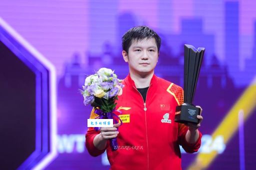 樊振东简历揭秘他的乒乓球之路有多励志