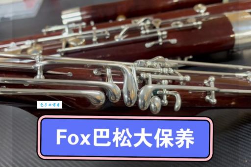 巴松管保养方法大全 延长乐器寿命的秘诀