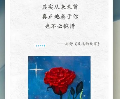 我们丢失了巴黎圣母院赠予的玫瑰