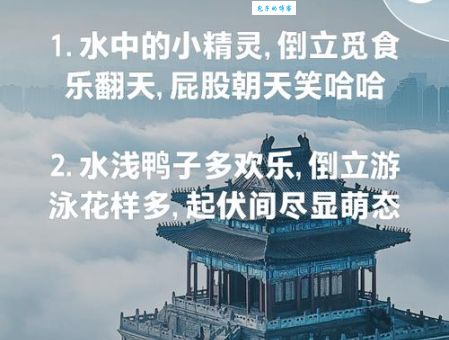 大连方言倒鸭子含义 倒鸭子到底说的是啥