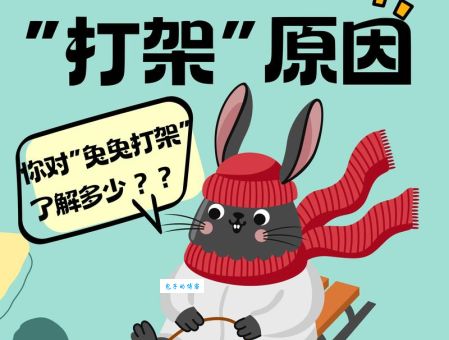 兔子国是哪国很多人不知道的冷知识大公开