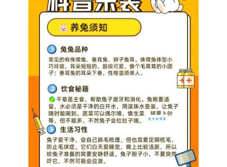 兔子国是哪国很多人不知道的冷知识大公开
