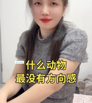 哪种动物没有方向感 这些动物出门就迷路