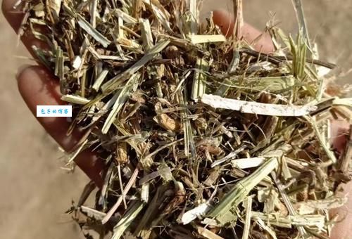 草粉是什么意思 草粉这个词到底怎么来的