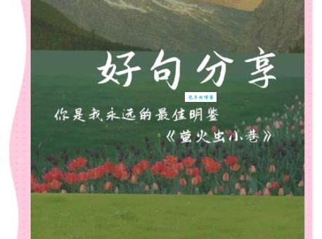 萤火虫打一地名没想到答案就在我们身边