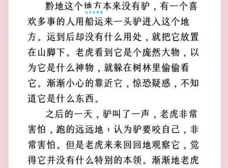飞驴是什么意思 为什么大家都在说飞驴这个词