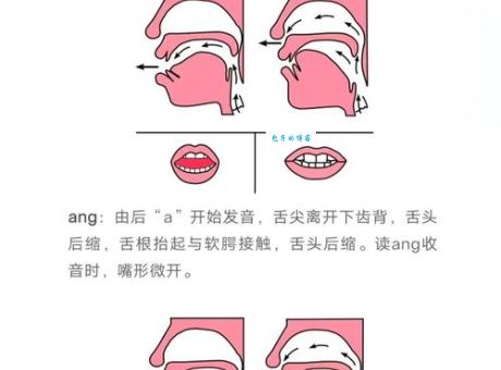 藁城怎么读拼音标注和发音技巧分享