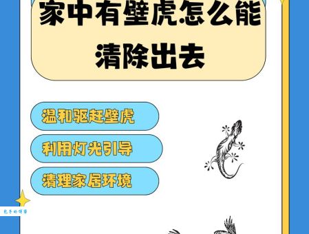什么动物最容易被贴在墙上 原来和风水有关系