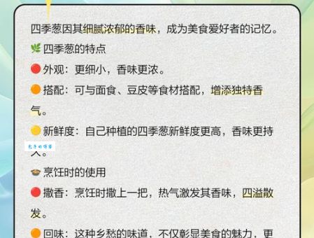 为什么叫葱桶组合 揭秘这个有趣名字的由来
