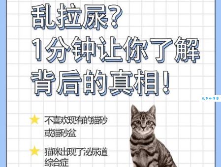 星期零是什么意思 一分钟带你了解真相