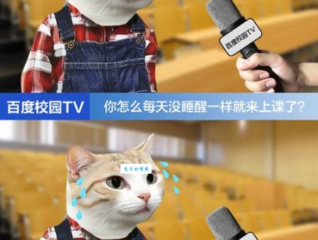 全网疯传的come的喂是什么梗 一分钟带你了解