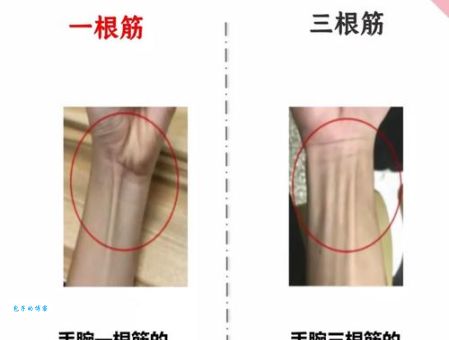 手腕比喻什么 看看这些有趣的比喻你就懂了