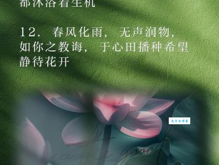 春风化雨润物无声什么意思 揭秘这种润物细无声的爱