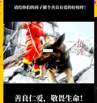 勇往直前的动物为什么比人类更不怕失败
