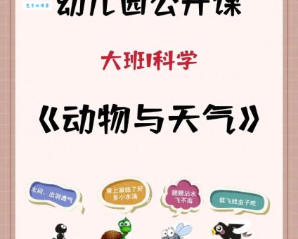 捕风捉影动物正确答案揭秘这些动物真会预测天气吗