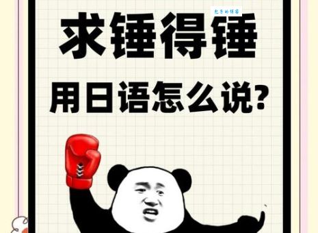 求锤得锤是什么意思网友都在用的流行语解析