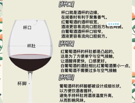 八酒杯是什么意思为什么大家都在讨论它