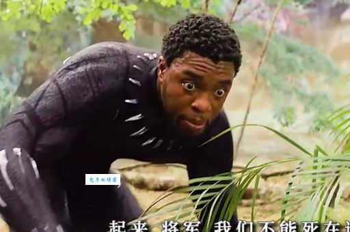 瓦坎达forever什么梗 带你了解这个爆火网络用语