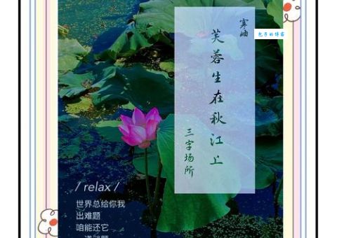 莫等闲下一句是什么古诗接龙答案在这里