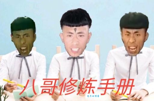 岛市老八是什么意思网友热议的梗到底指什么