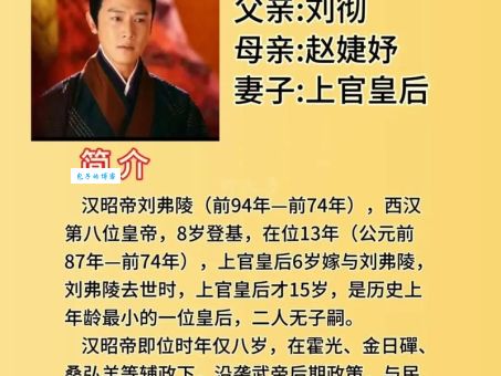 汉昭帝皇后为何年纪轻轻就守寡