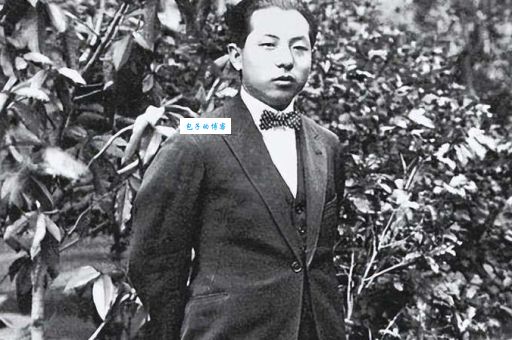 张学良的军事生涯 中国近代著名将领的辉煌战绩