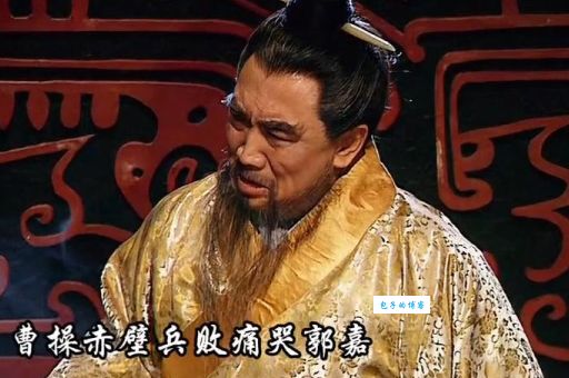 郭嘉奉孝怎么死的 曹操痛哭的真相在这里