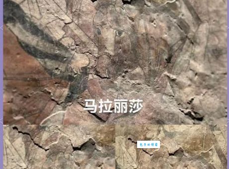 北齐书讲什么内容 李百药笔下的北朝历史真相