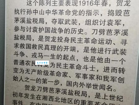 贺英湖南籍革命烈士的牺牲与历史意义