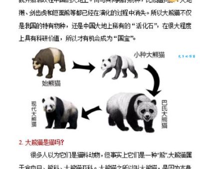 你不知道的大熊猫习性 这些冷知识太有趣