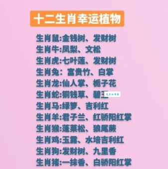 枯木逢春是什么生肖 十二生肖中谁最幸运