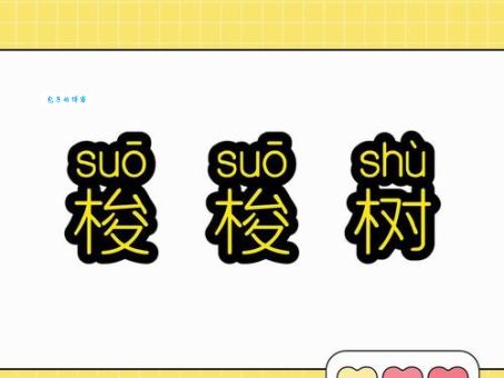 梭梭树怎么读发音技巧和常见错误解析