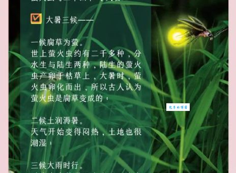 萤火虫发出的光忽明忽暗科学解释来了