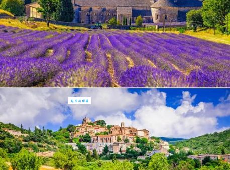 普罗旺斯在哪个国家 薰衣草之乡的所在地