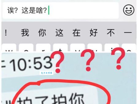 微信里怎么拍一拍 简单几步搞定拍一拍