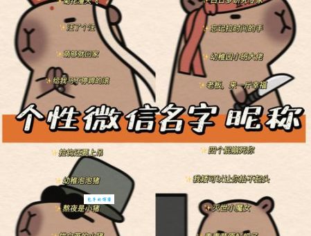 微信名字旁边有个小人是什么功能 详细解释在这里