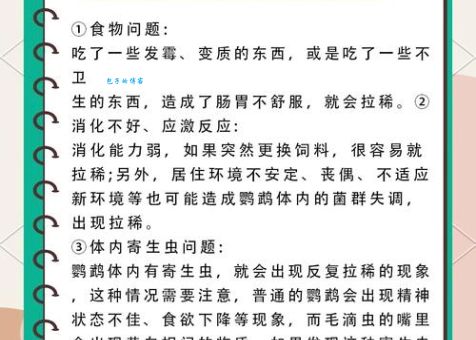 鸟屎掉身上有什么预兆 是福还是祸听听老人怎么说