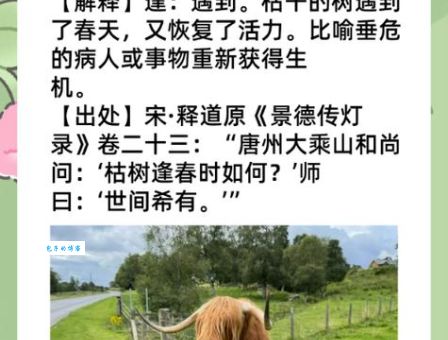 枯木逢春是什么生肖 原来指的是这几个