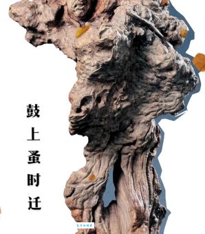 枯木逢春是什么生肖 原来指的是这几个